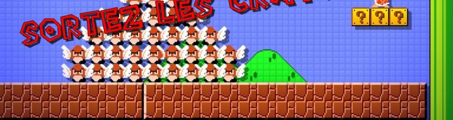 Mario Bros Maker: le nouveau Mario conçus pour toutes les générations