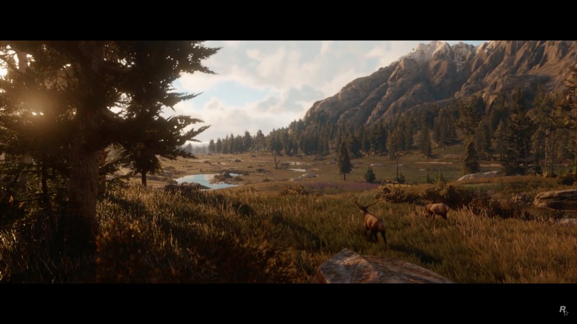 Red-Dead-Redemption-2 9