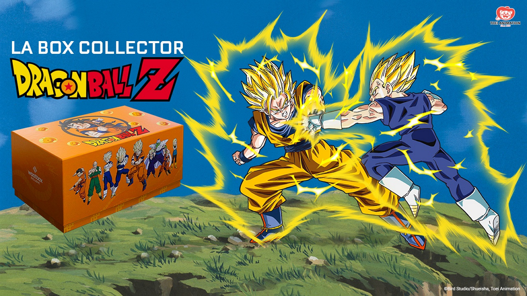 CARTE DRAGON BALL z Officielle Hors Série Dragon Ball Carddass Remix