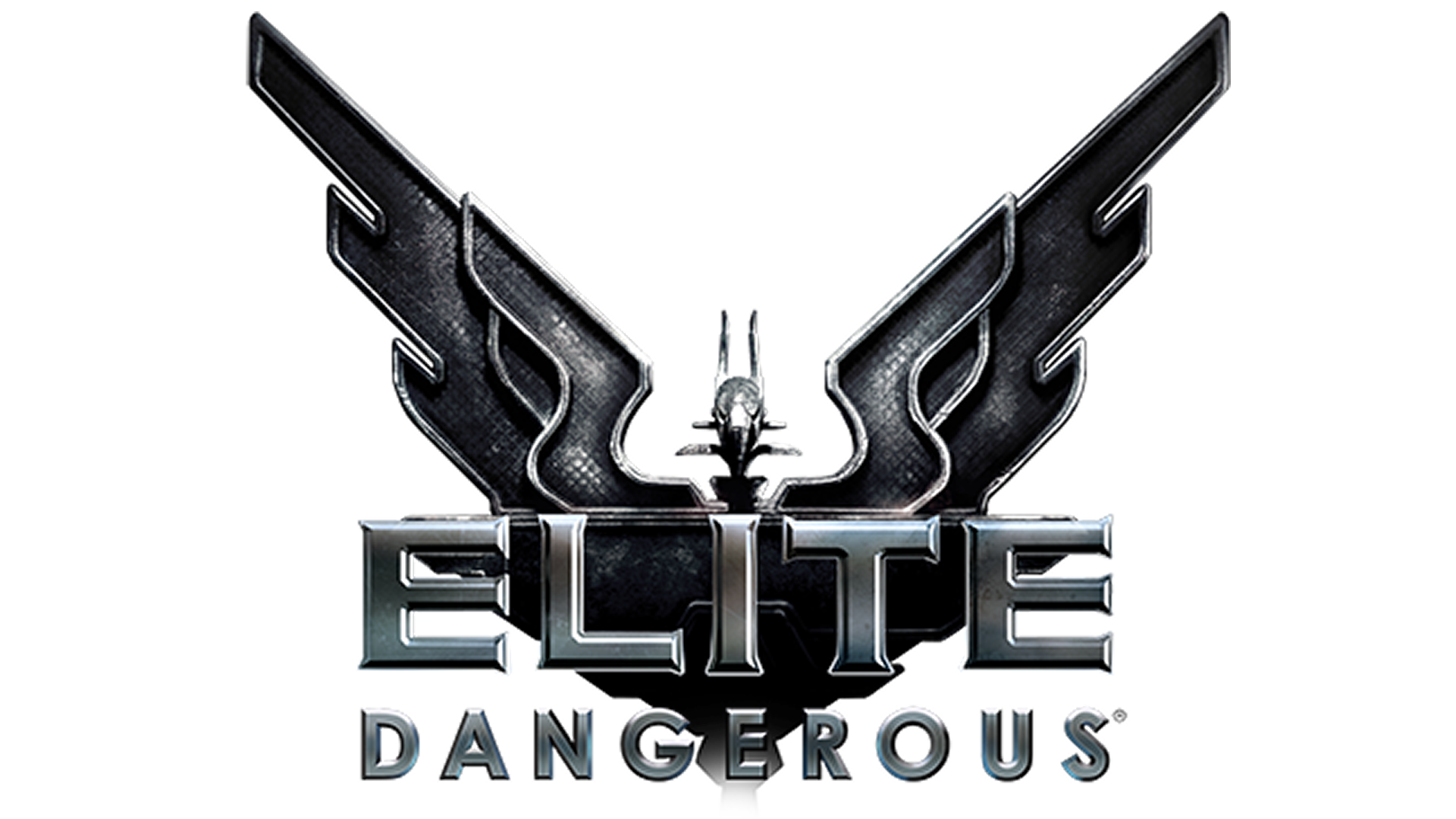 Elite Acompanhante