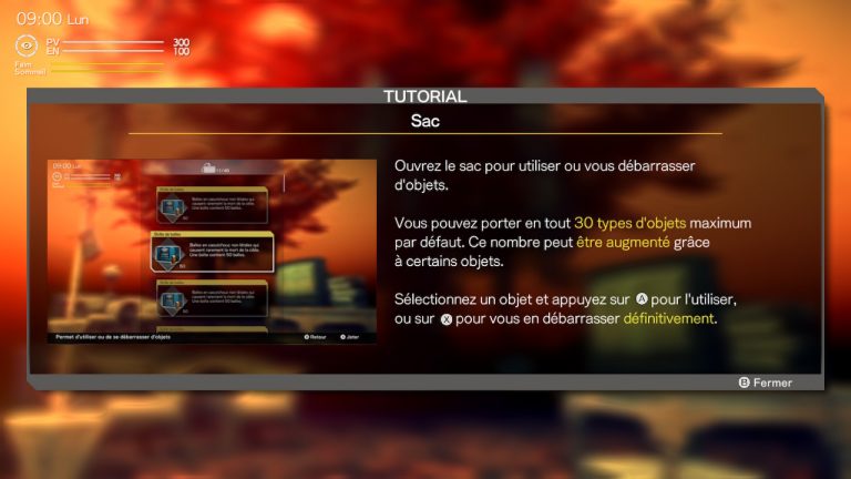 deadly premonition 2 (13)