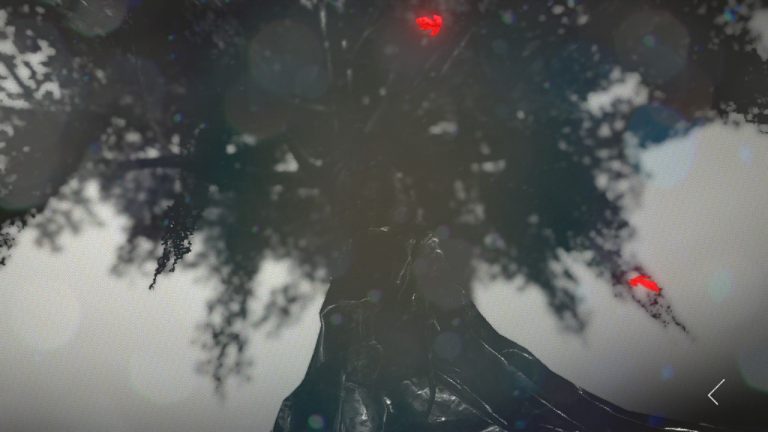 deadly premonition 2 (25)