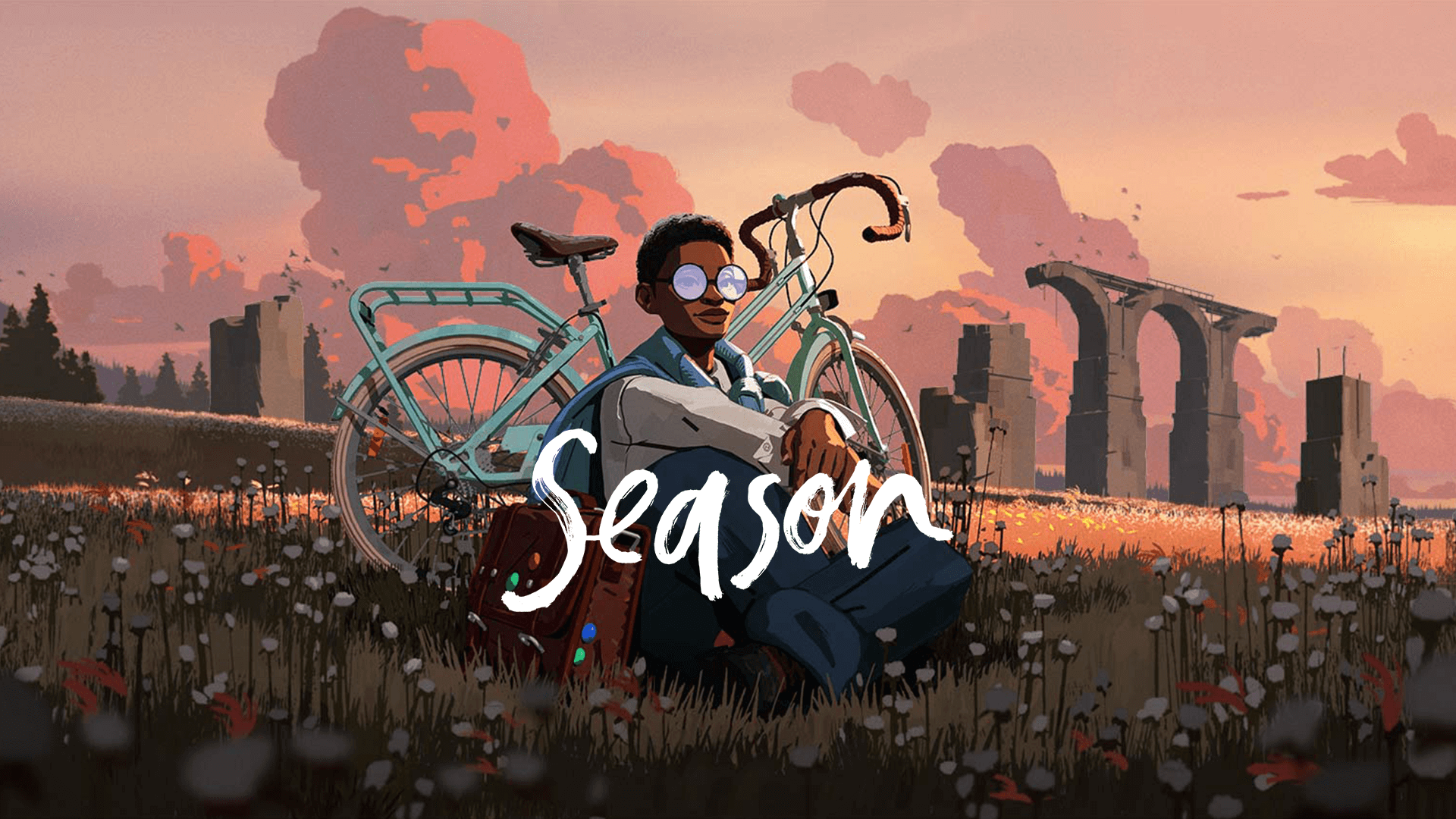 Season (13)