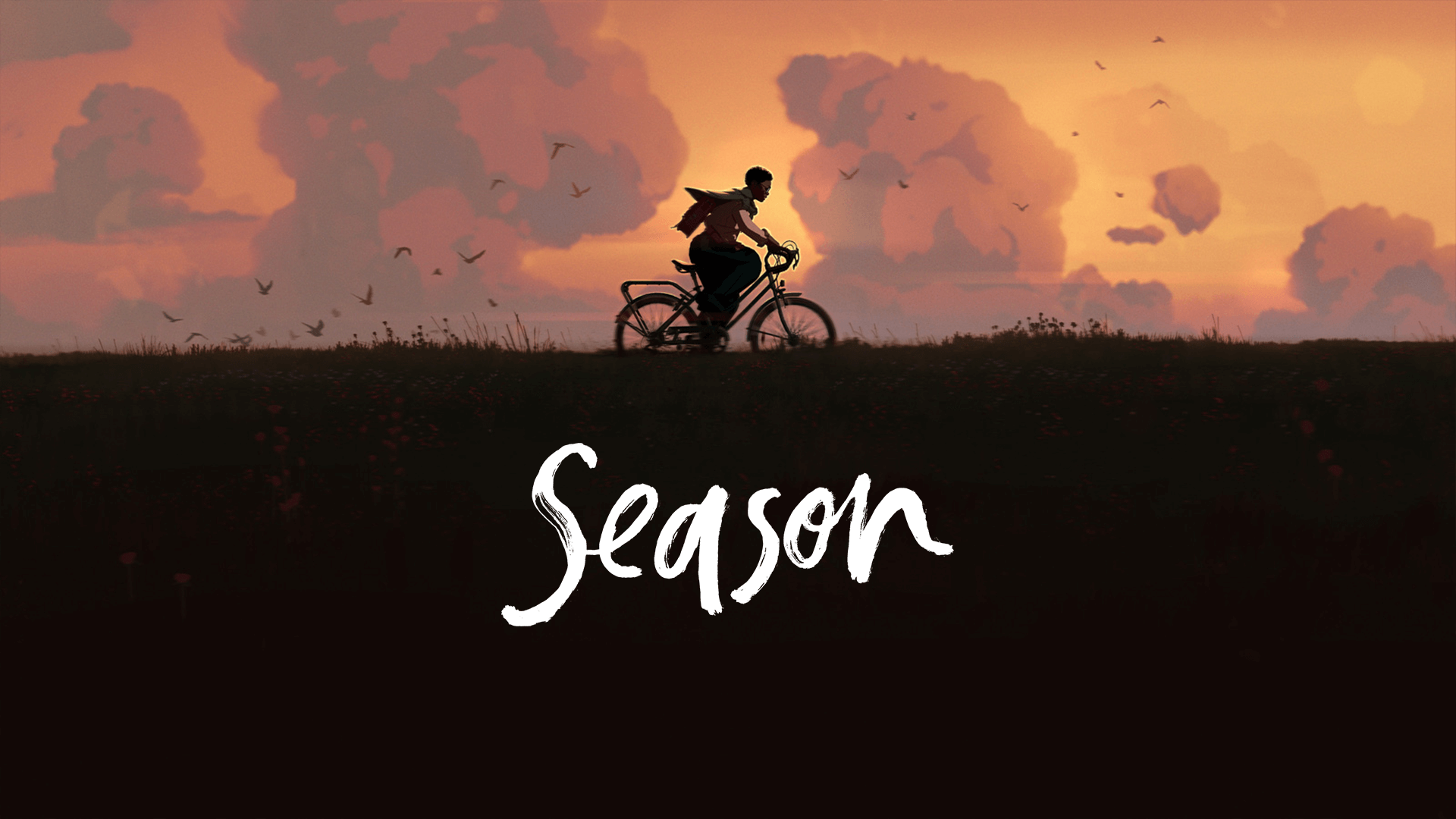 Season (14)