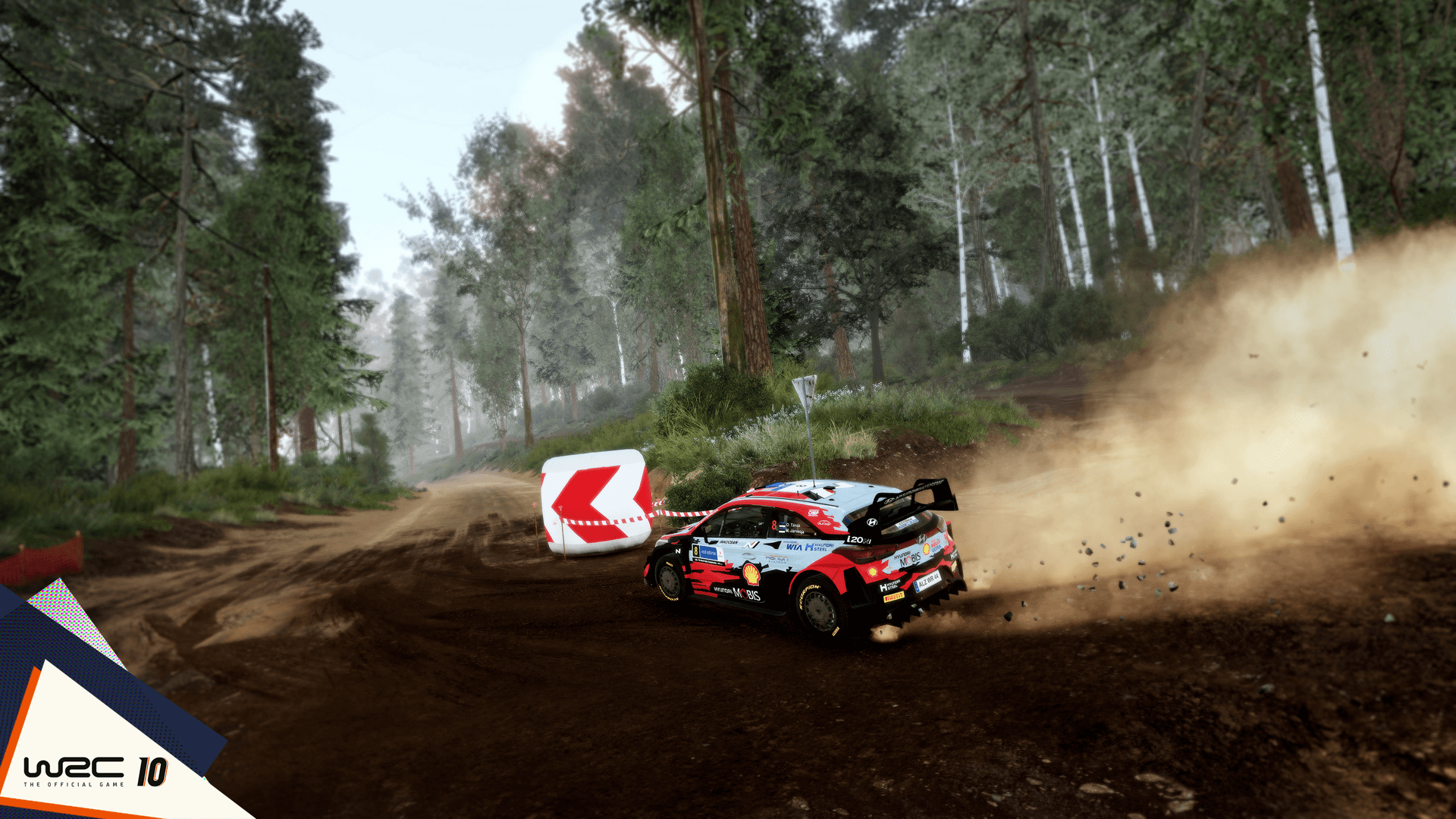 WRC 10 (2)