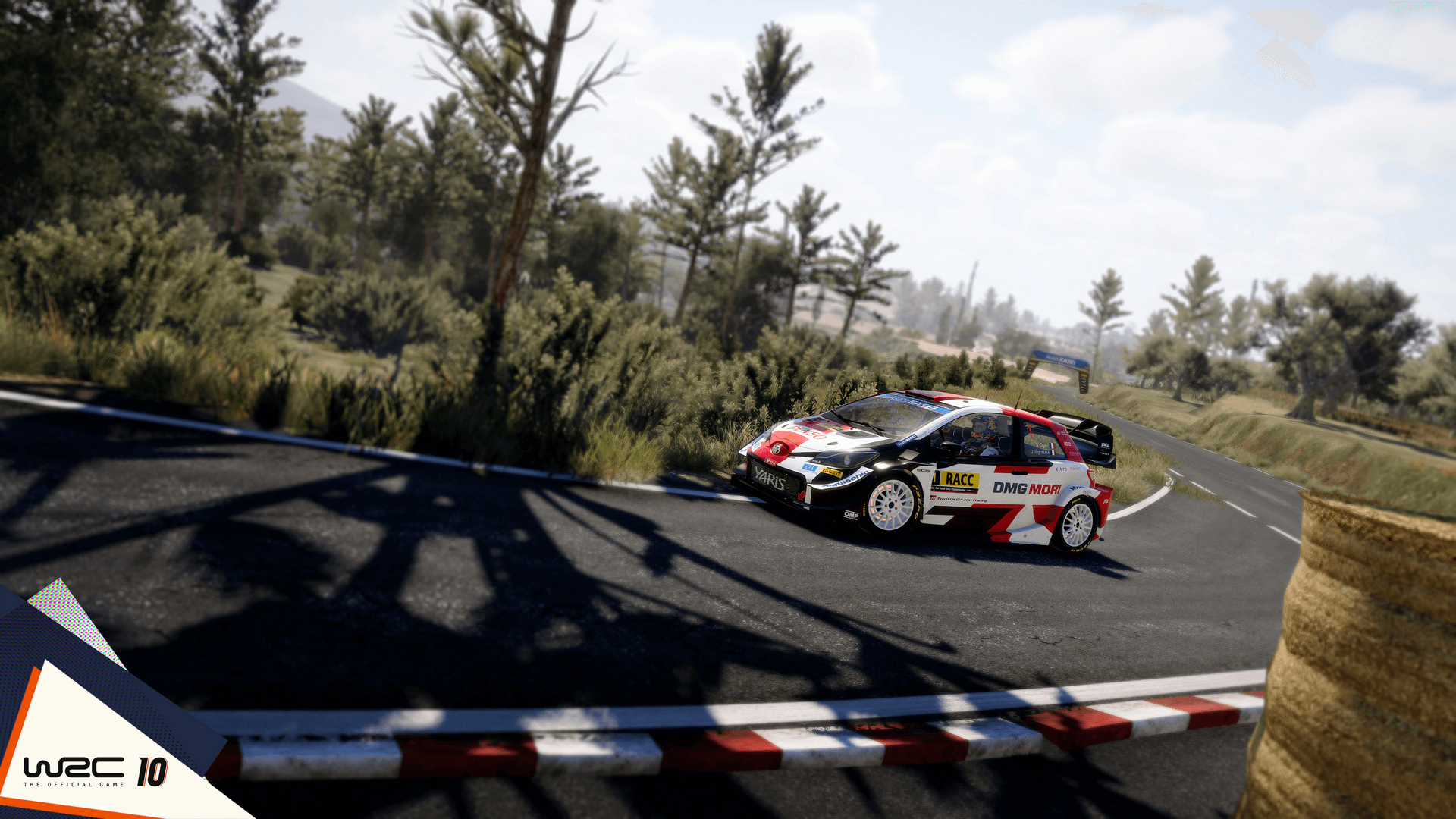 WRC 10 (9)