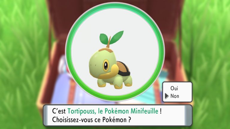 Pokemon diamant étincelant (11)