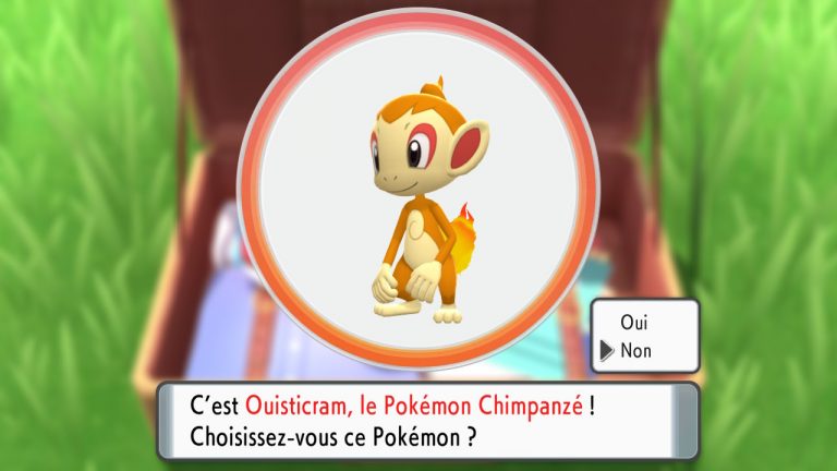 Pokemon diamant étincelant (12)