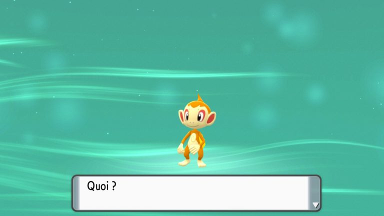 Pokemon diamant étincelant (46)