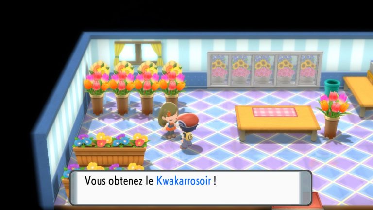 Pokemon diamant étincelant (75)