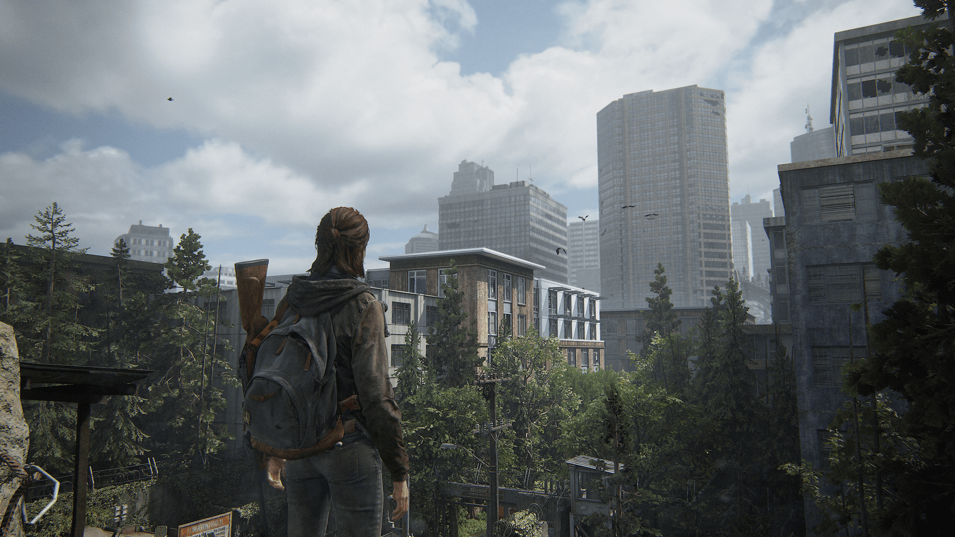 The Last Of Us Part II Remastered (1)